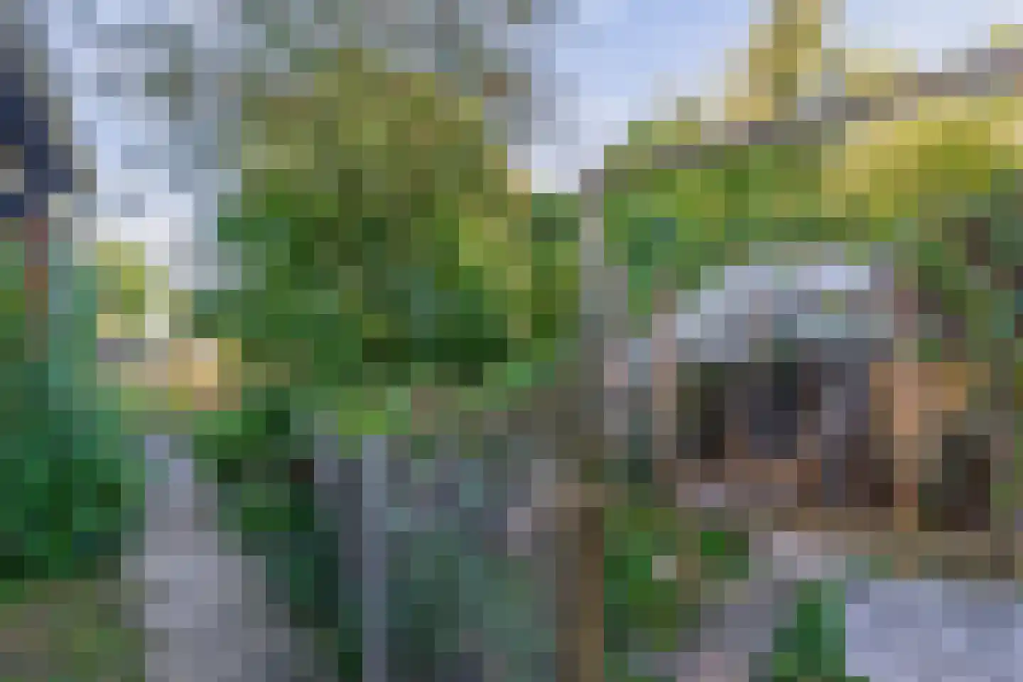 Verlengde Hoofdweg 47 Nieuw Beerta thumbnail 32