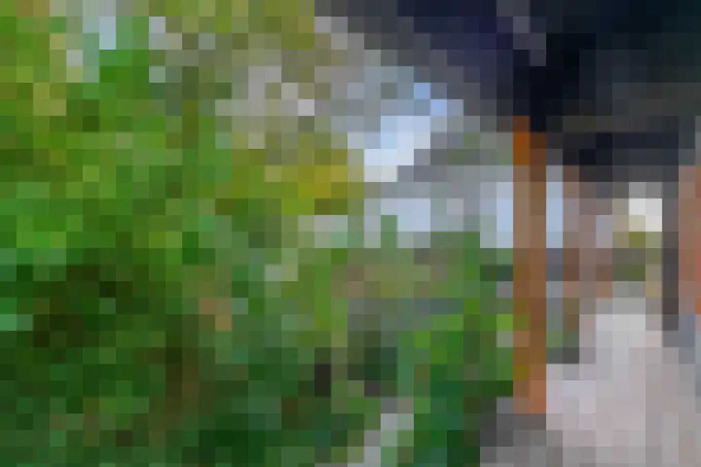 Verlengde Hoofdweg 47 Nieuw Beerta thumbnail 33