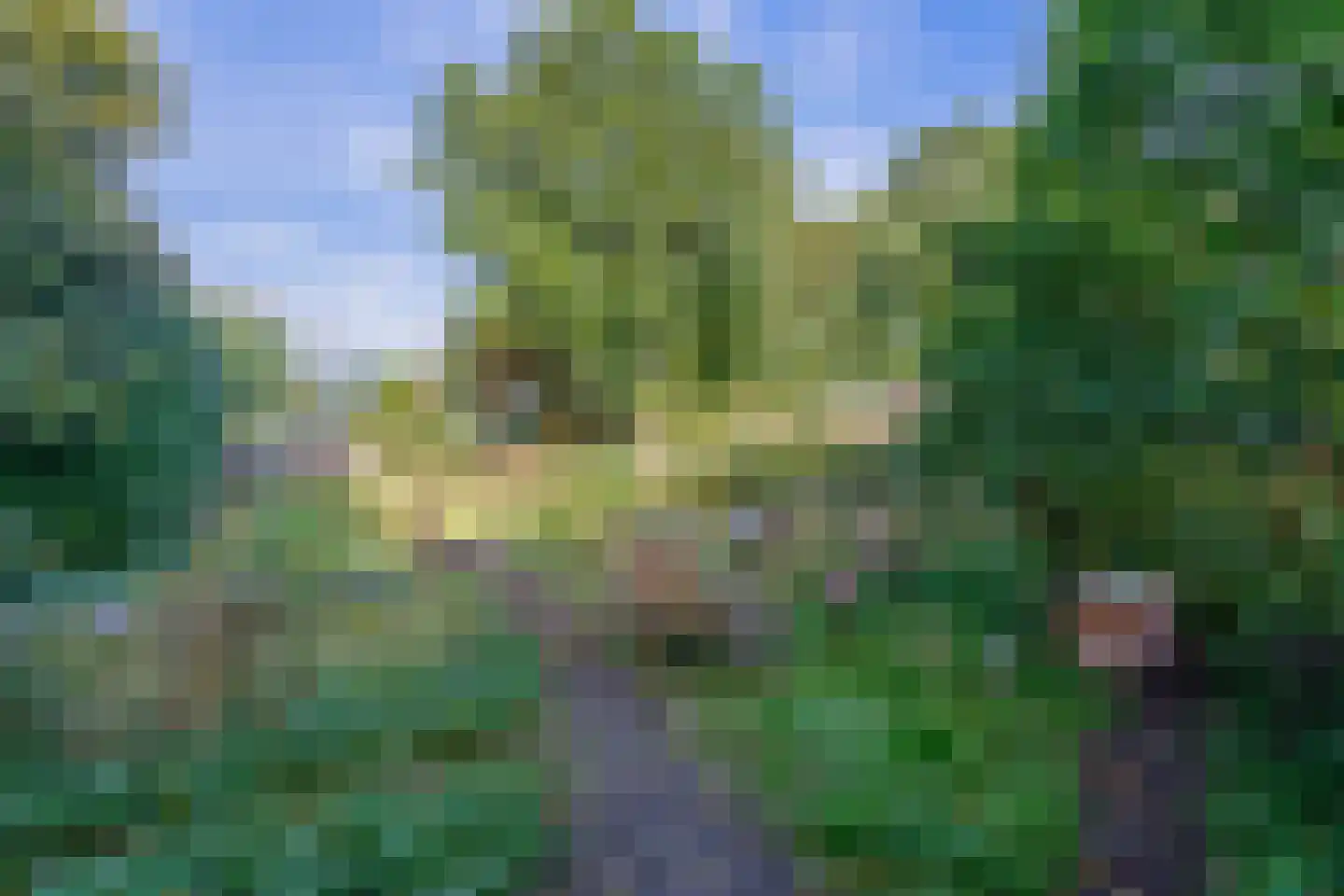 Verlengde Hoofdweg 47 Nieuw Beerta thumbnail 34