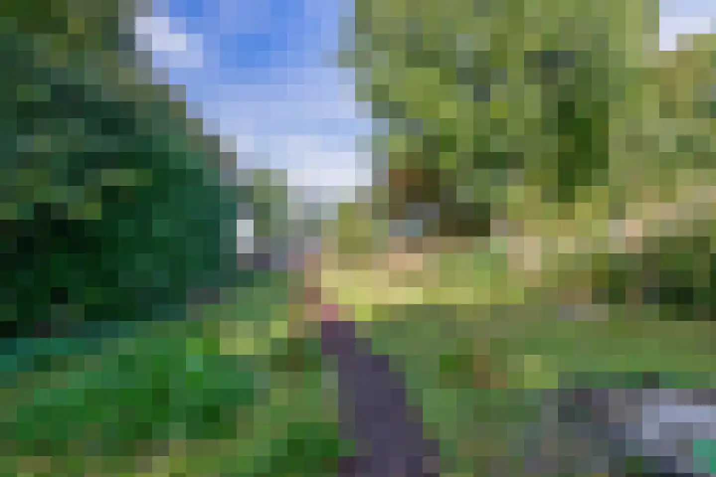 Verlengde Hoofdweg 47 Nieuw Beerta thumbnail 35