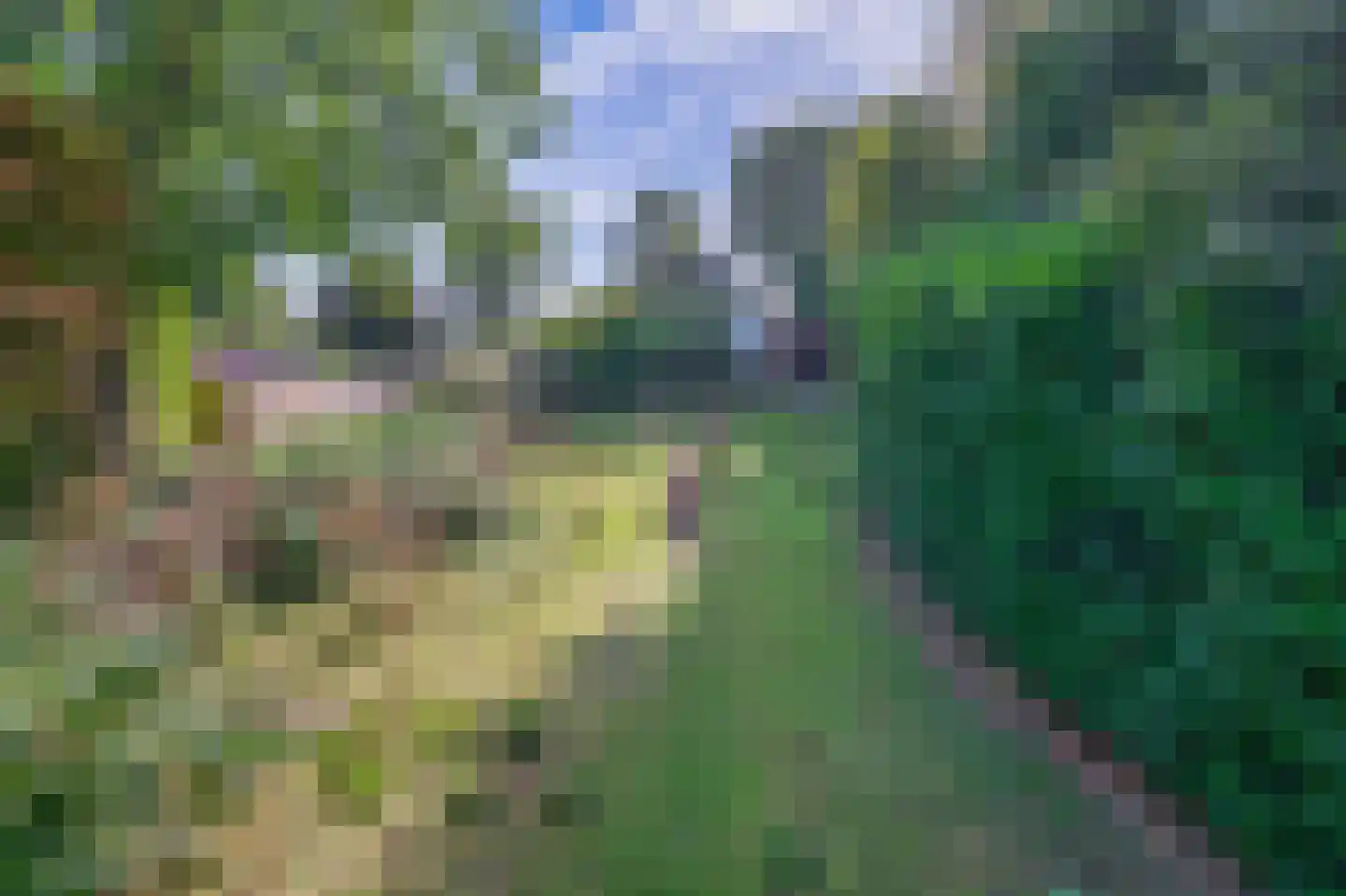 Verlengde Hoofdweg 47 Nieuw Beerta thumbnail 38