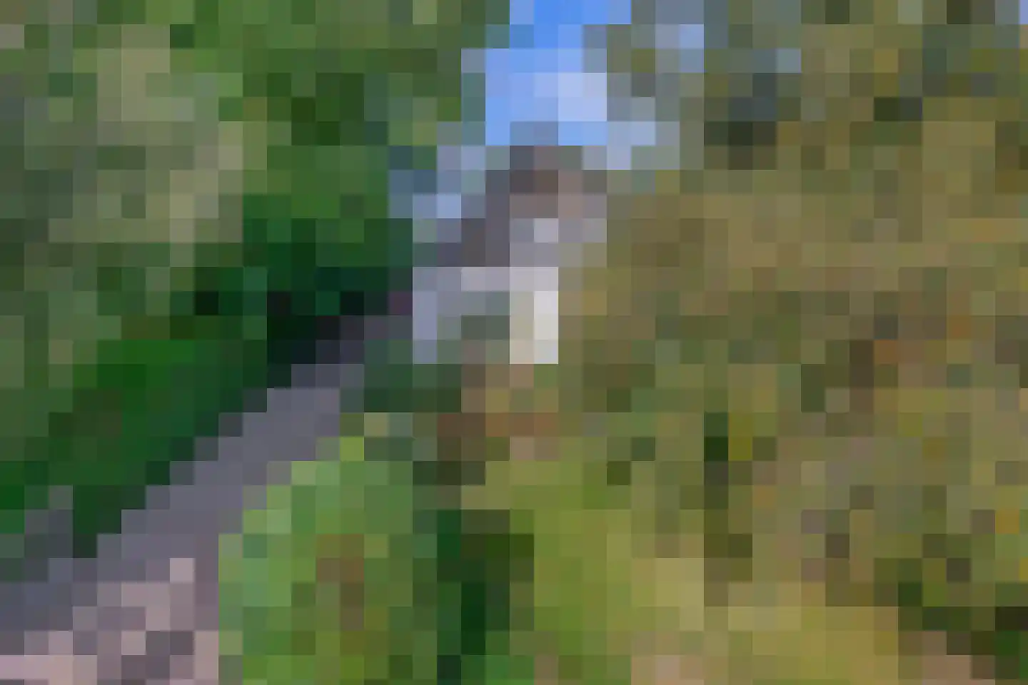 Verlengde Hoofdweg 47 Nieuw Beerta thumbnail 42
