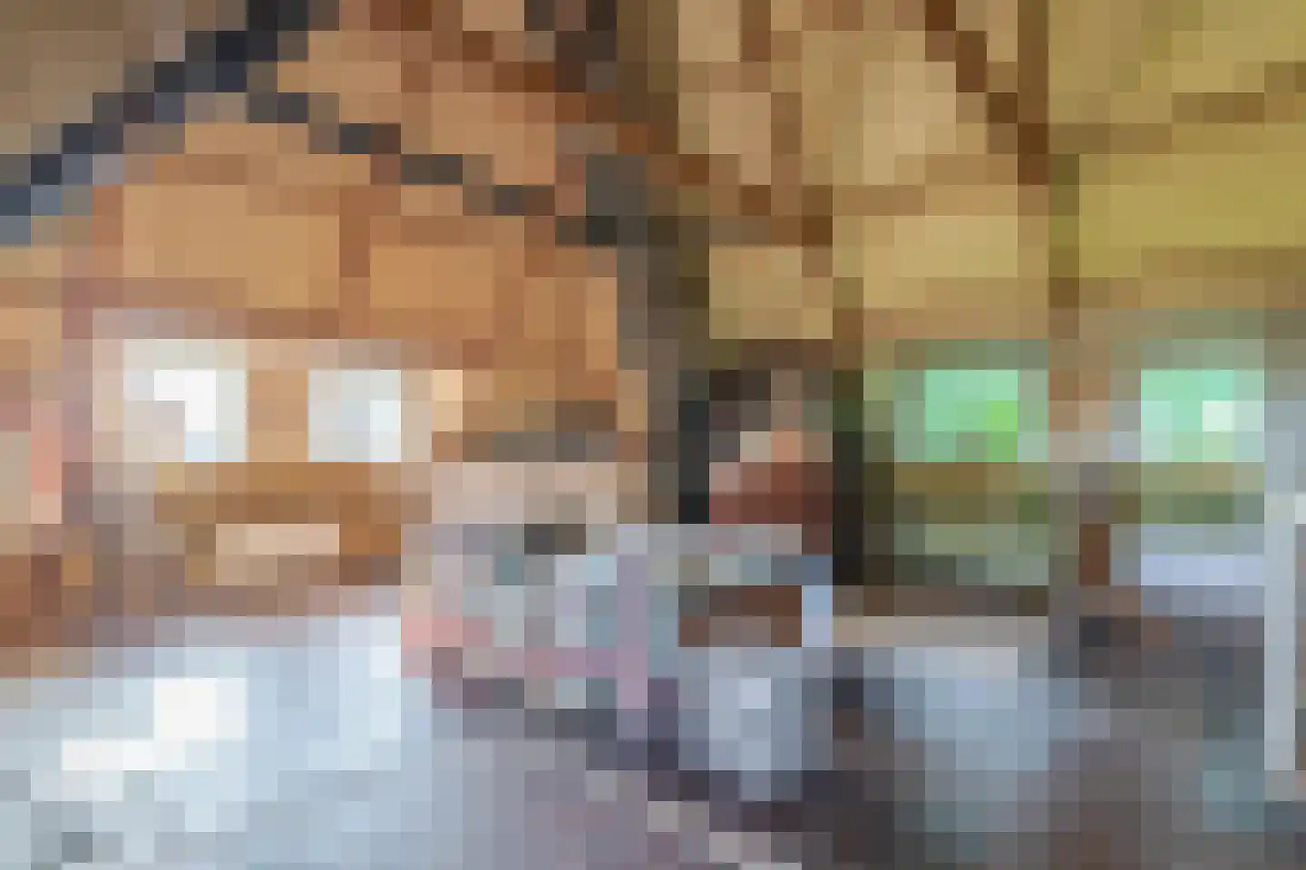 Verlengde Hoofdweg 47 Nieuw Beerta thumbnail 43