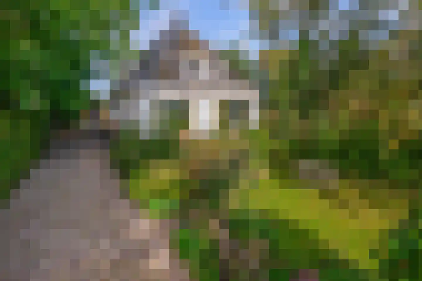 Verlengde Hoofdweg 47 Nieuw Beerta thumbnail 44