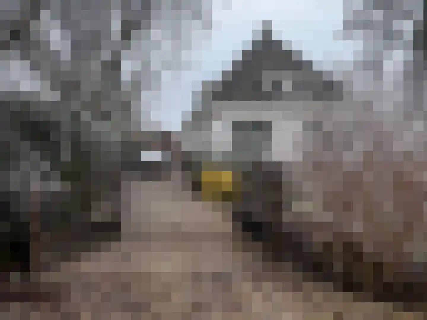 Verlengde Hoofdweg 47 Nieuw Beerta thumbnail 45