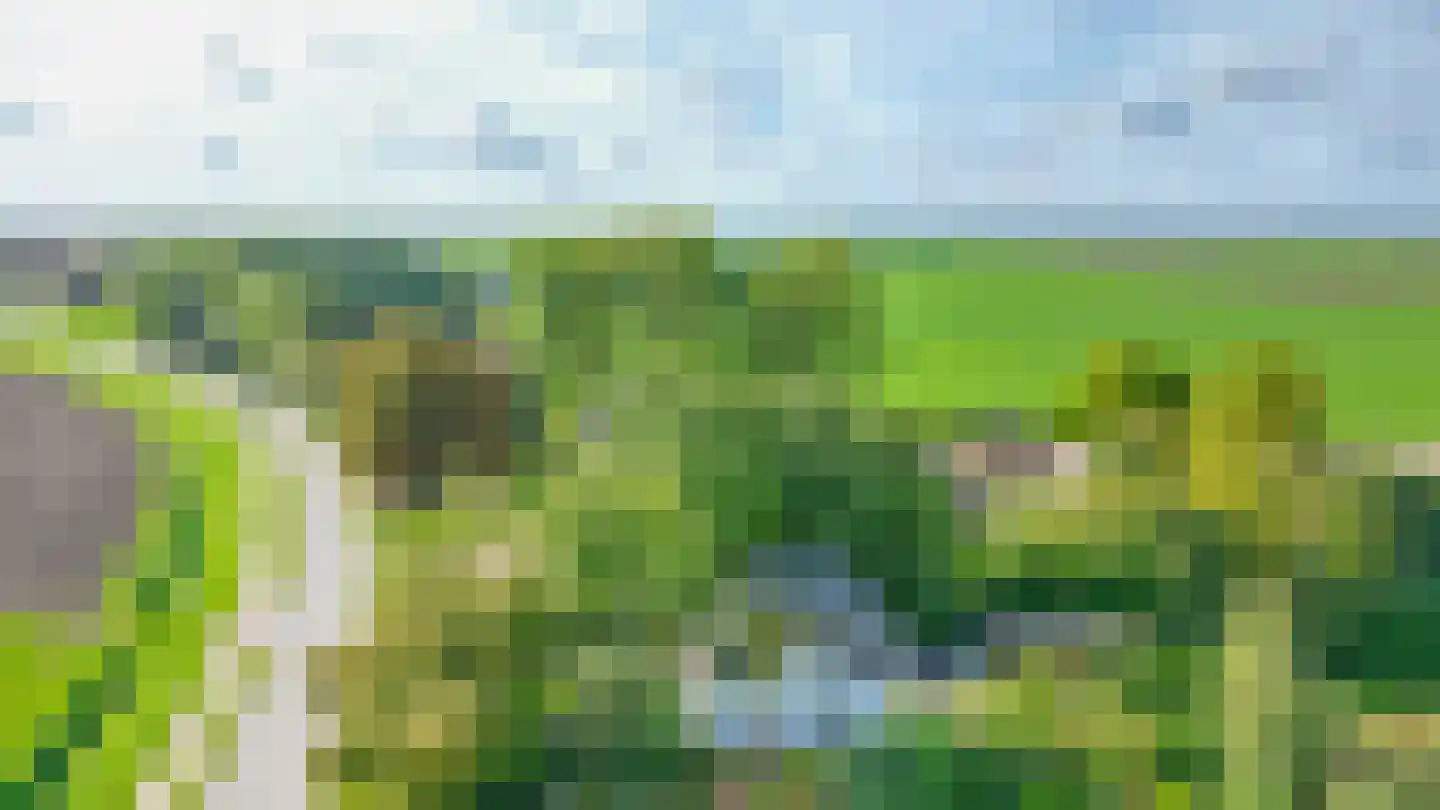 Verlengde Hoofdweg 47 Nieuw Beerta thumbnail 48
