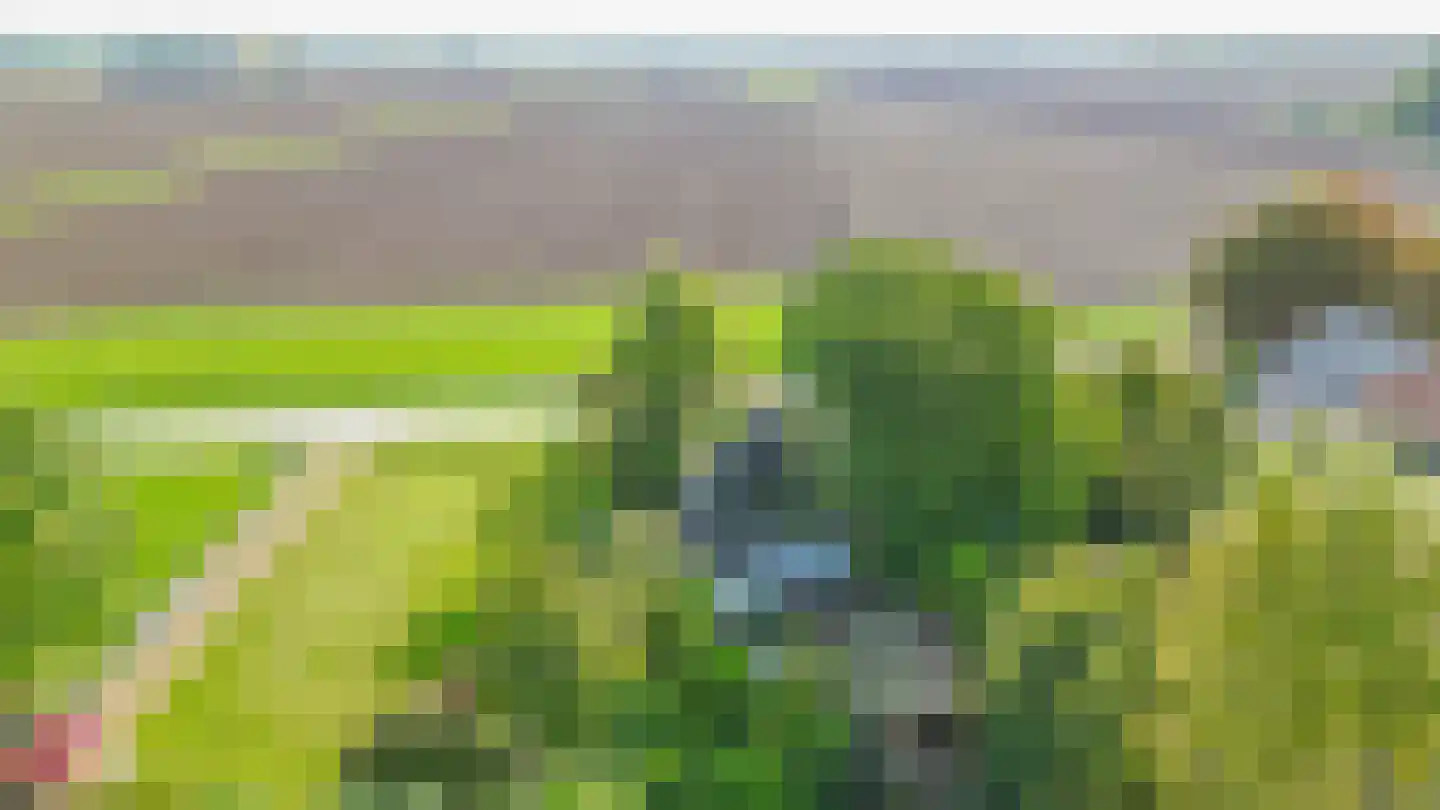 Verlengde Hoofdweg 47 Nieuw Beerta thumbnail 49