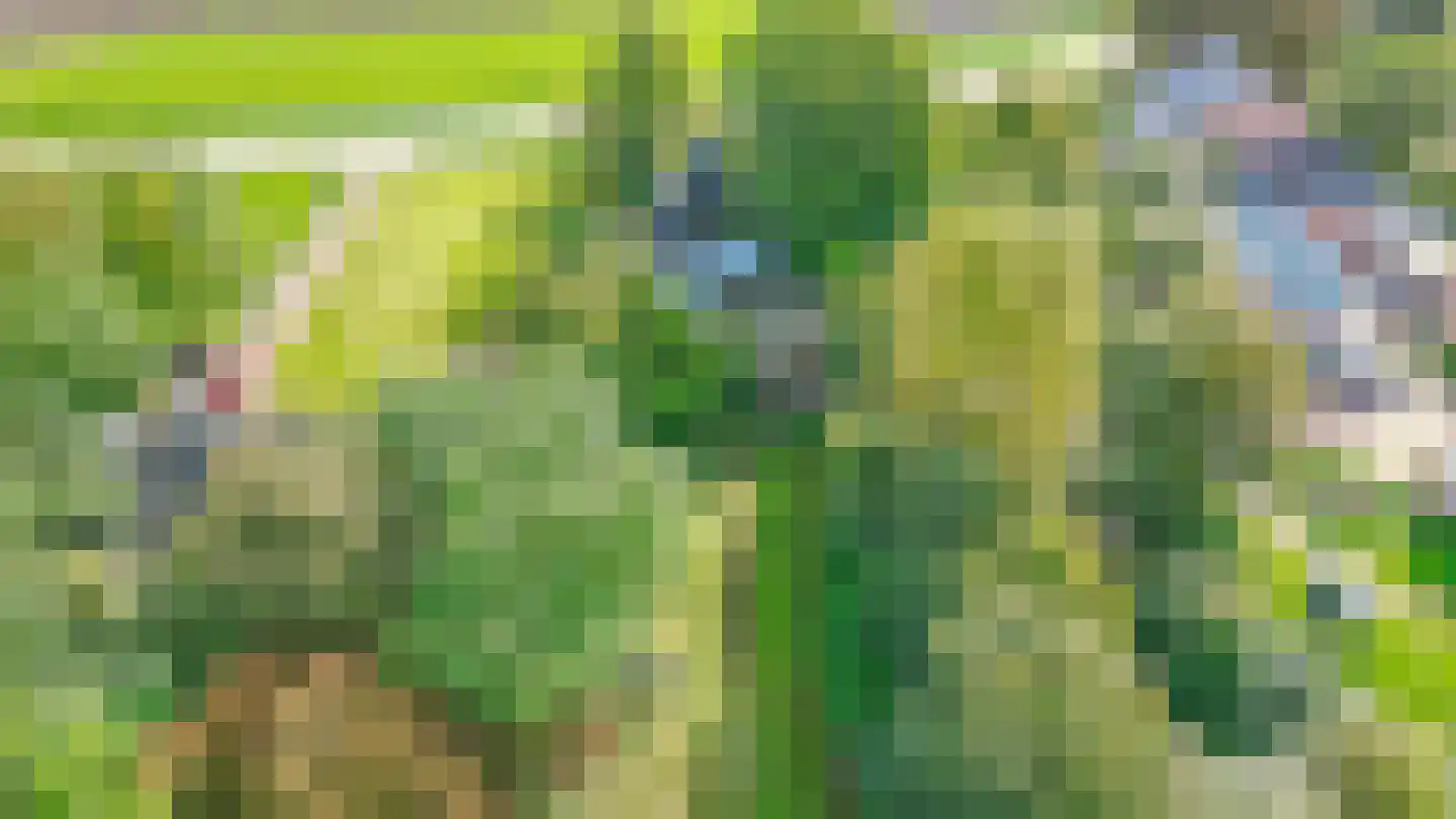 Verlengde Hoofdweg 47 Nieuw Beerta thumbnail 51
