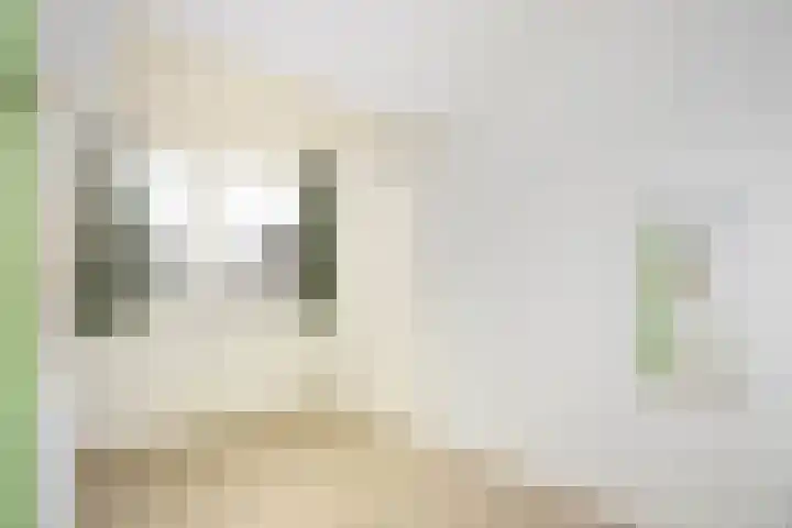 Verlengde Hoogravenseweg 112 Utrecht thumbnail 24