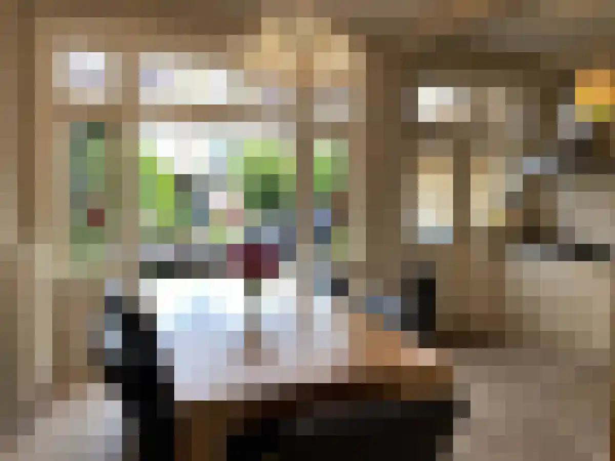 Verlengde Hoogravenseweg 116 Utrecht thumbnail 6