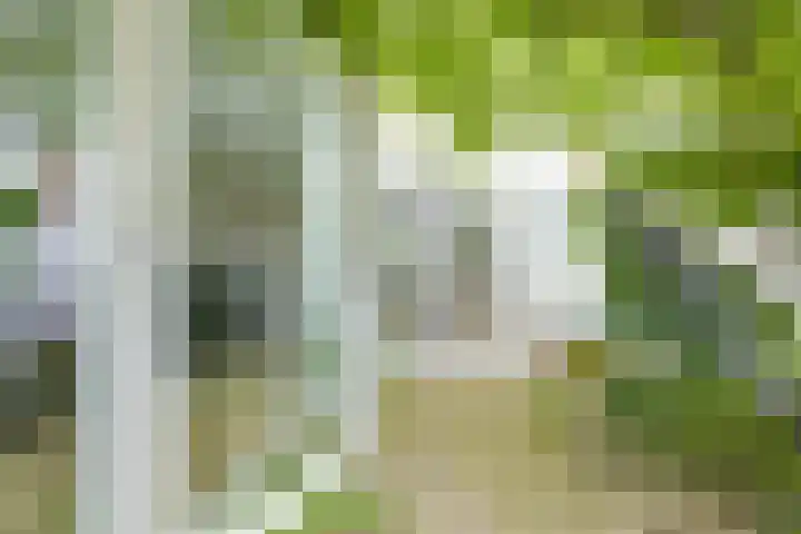 Verlengde Hoogravenseweg 144 A Utrecht thumbnail 16