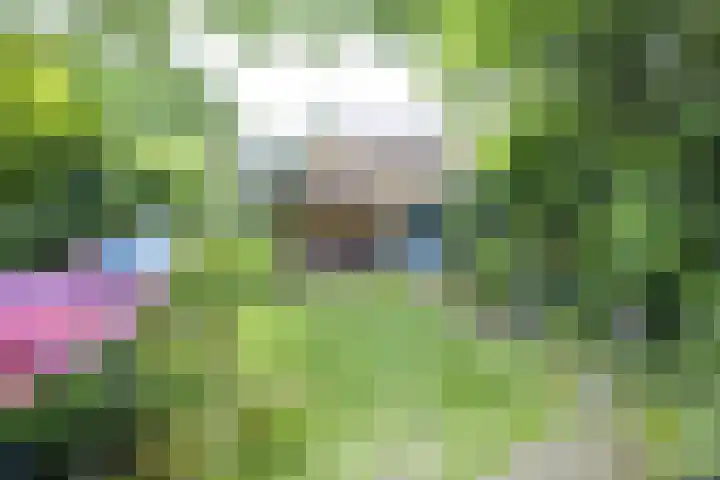 Verlengde Hoogravenseweg 144 A Utrecht thumbnail 17