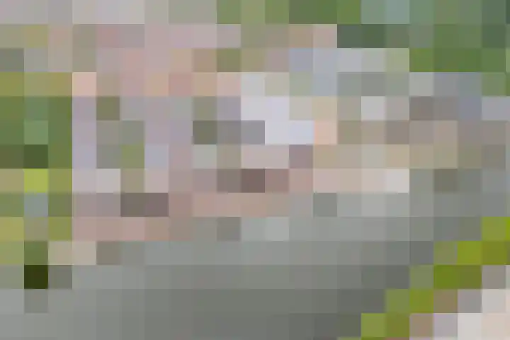 Verlengde Hoogravenseweg 144 A Utrecht thumbnail 40