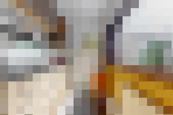 Verlengde Hoogravenseweg 62 Utrecht thumbnail 8