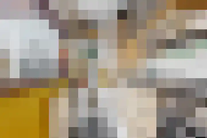 Verlengde Hoogravenseweg 62 Utrecht thumbnail 9