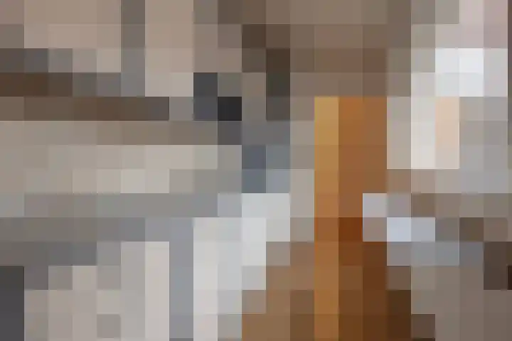 Verlengde Hoogravenseweg 64 Utrecht thumbnail 15