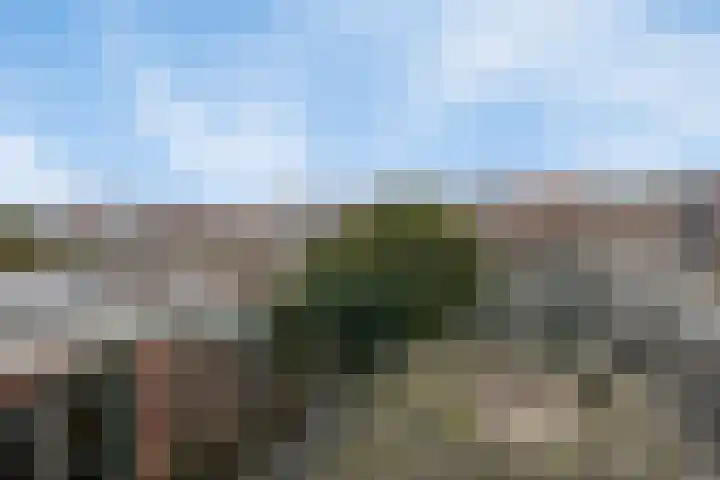 Verlengde Hoogravenseweg 64 Utrecht thumbnail 31