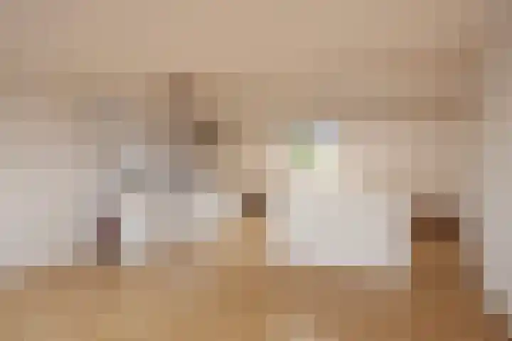 Verlengde Hoogravenseweg 64 Utrecht thumbnail 34
