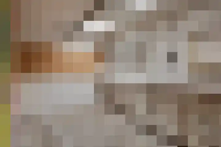 Verlengde Hoogravenseweg 64 Utrecht thumbnail 43