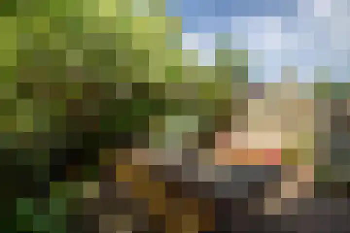 Verlengde Hoogravenseweg 77 Utrecht thumbnail 22