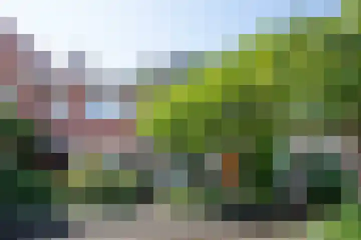 Verlengde Hoogravenseweg 77 Utrecht thumbnail 24