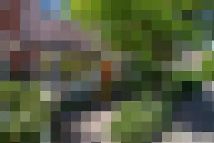Verlengde Hoogravenseweg 77 Utrecht thumbnail 25