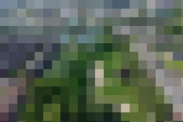 Verlengde Hoogravenseweg 77 Utrecht thumbnail 27