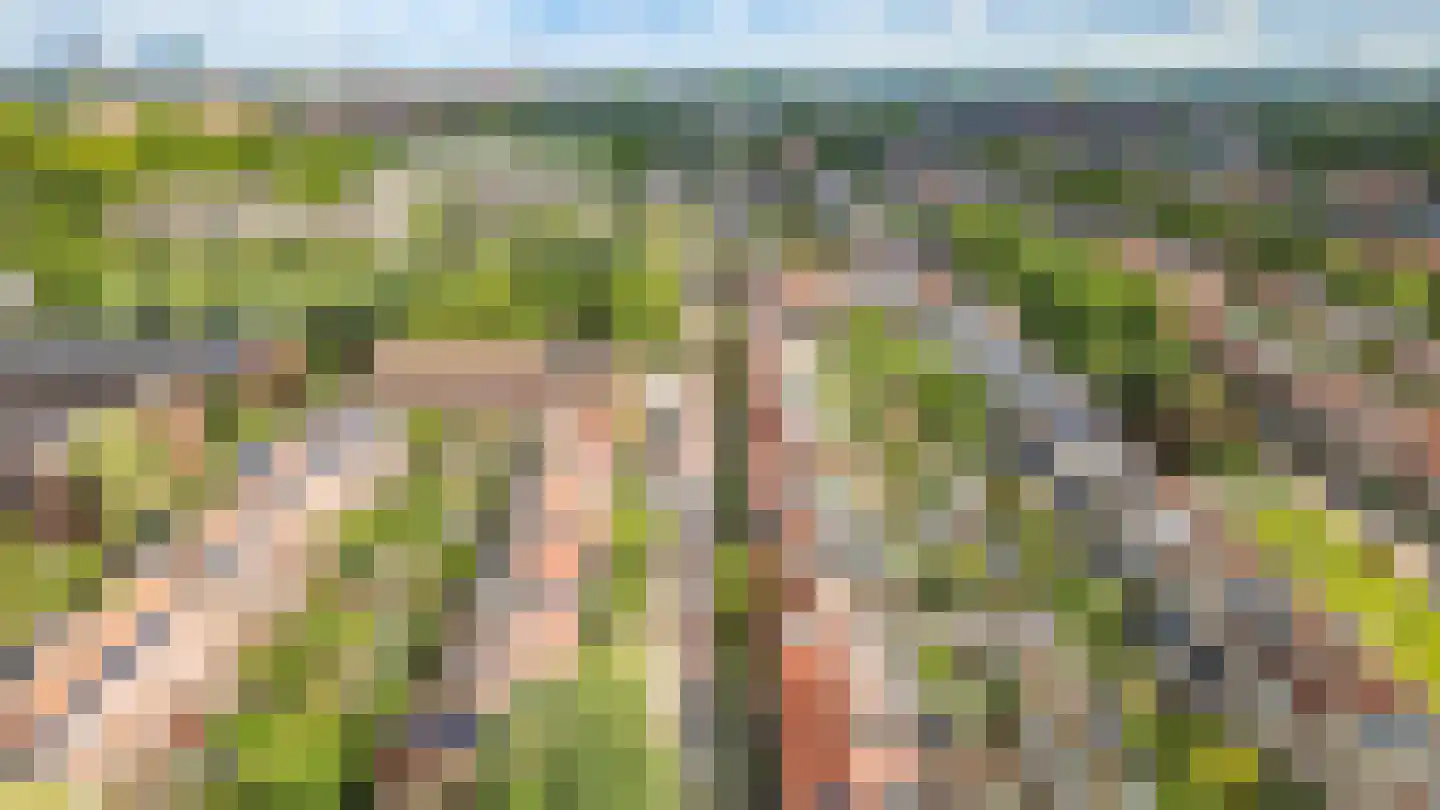 Verlengde Hoogravenseweg 86 Utrecht thumbnail 35