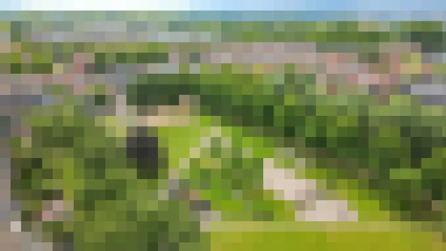 Verlengde Hoogravenseweg 86 Utrecht thumbnail 36