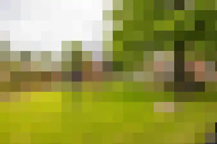 Verlengde J. A. Feithstraat 14 Groningen thumbnail 28
