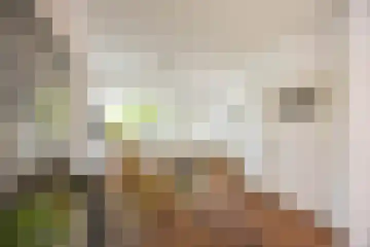 Verlengde J. A. Feithstraat 14 Groningen thumbnail 7