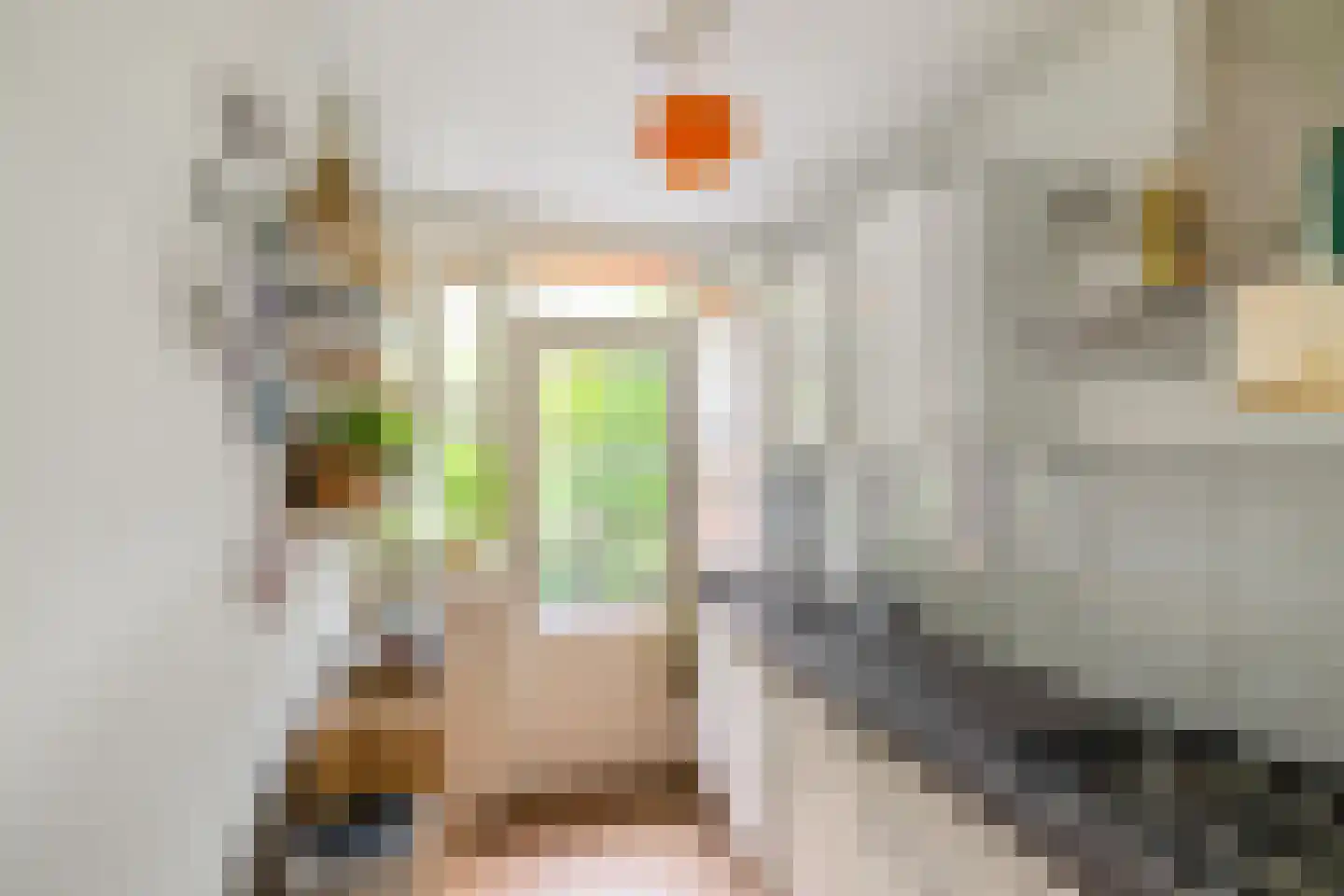 Verlengde J. A. Feithstraat 20 a Groningen thumbnail 10