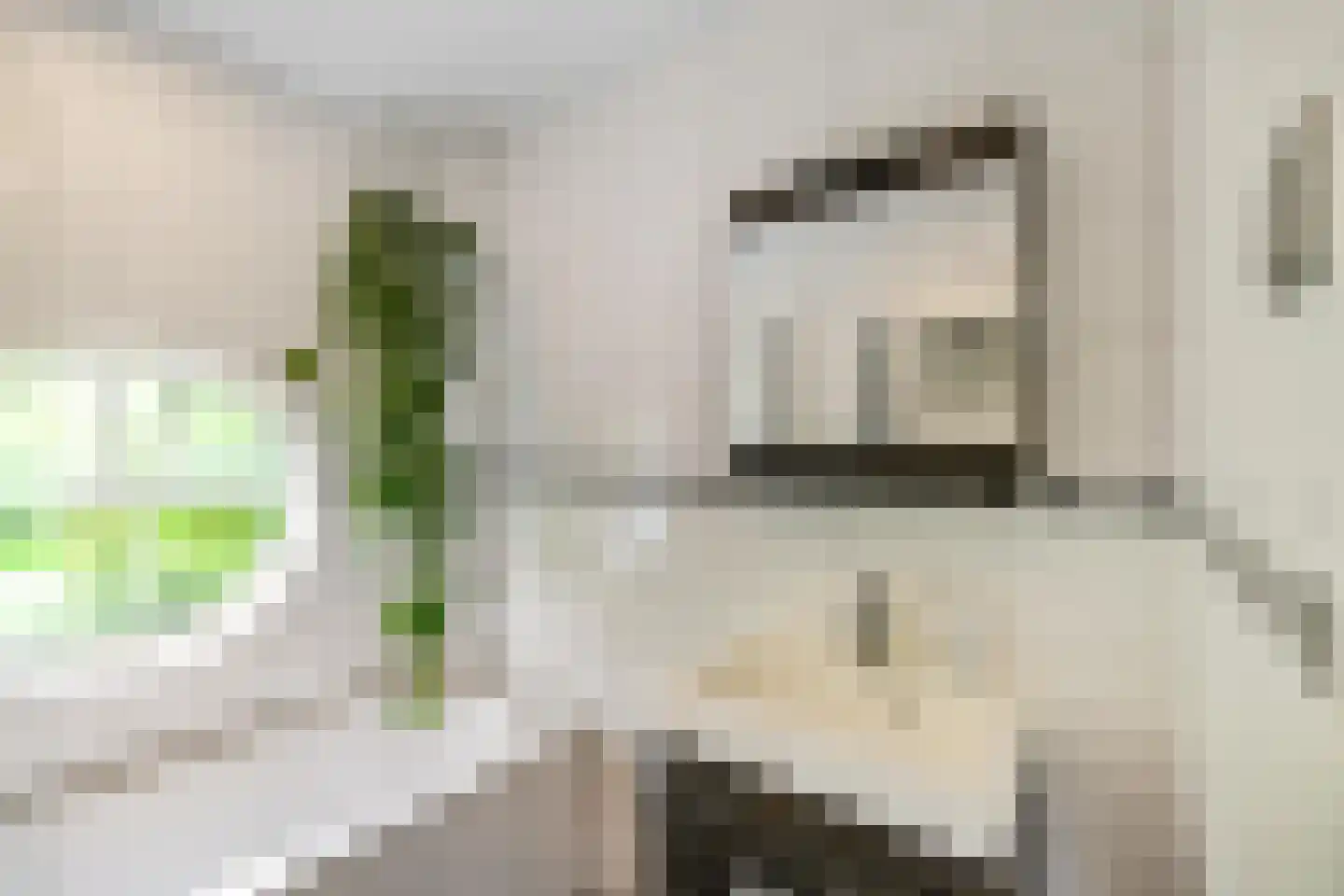 Verlengde J. A. Feithstraat 20 a Groningen thumbnail 31