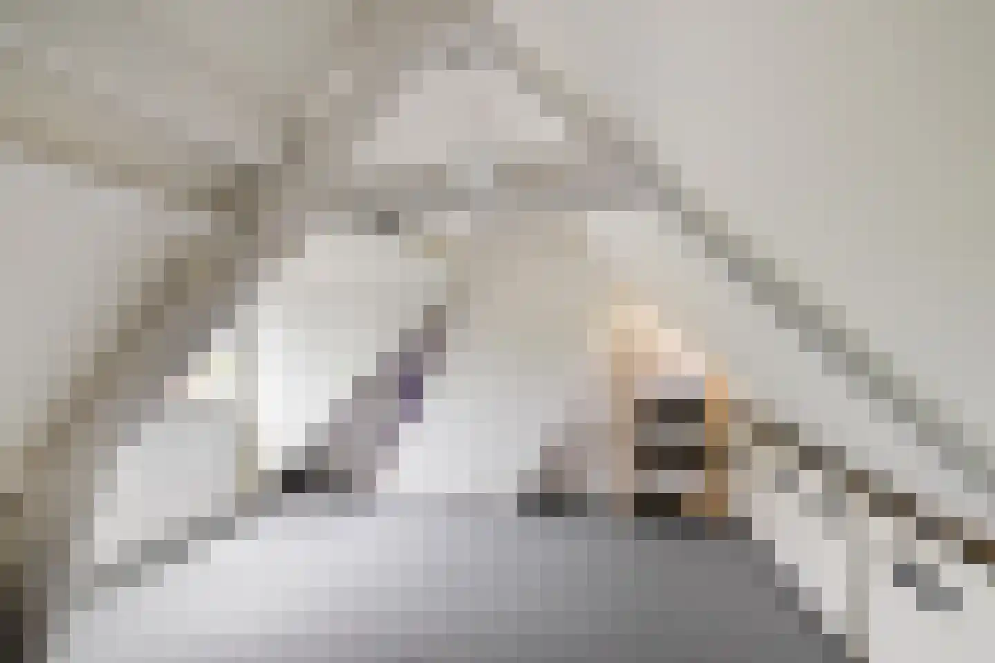 Verlengde J. A. Feithstraat 20 a Groningen thumbnail 33