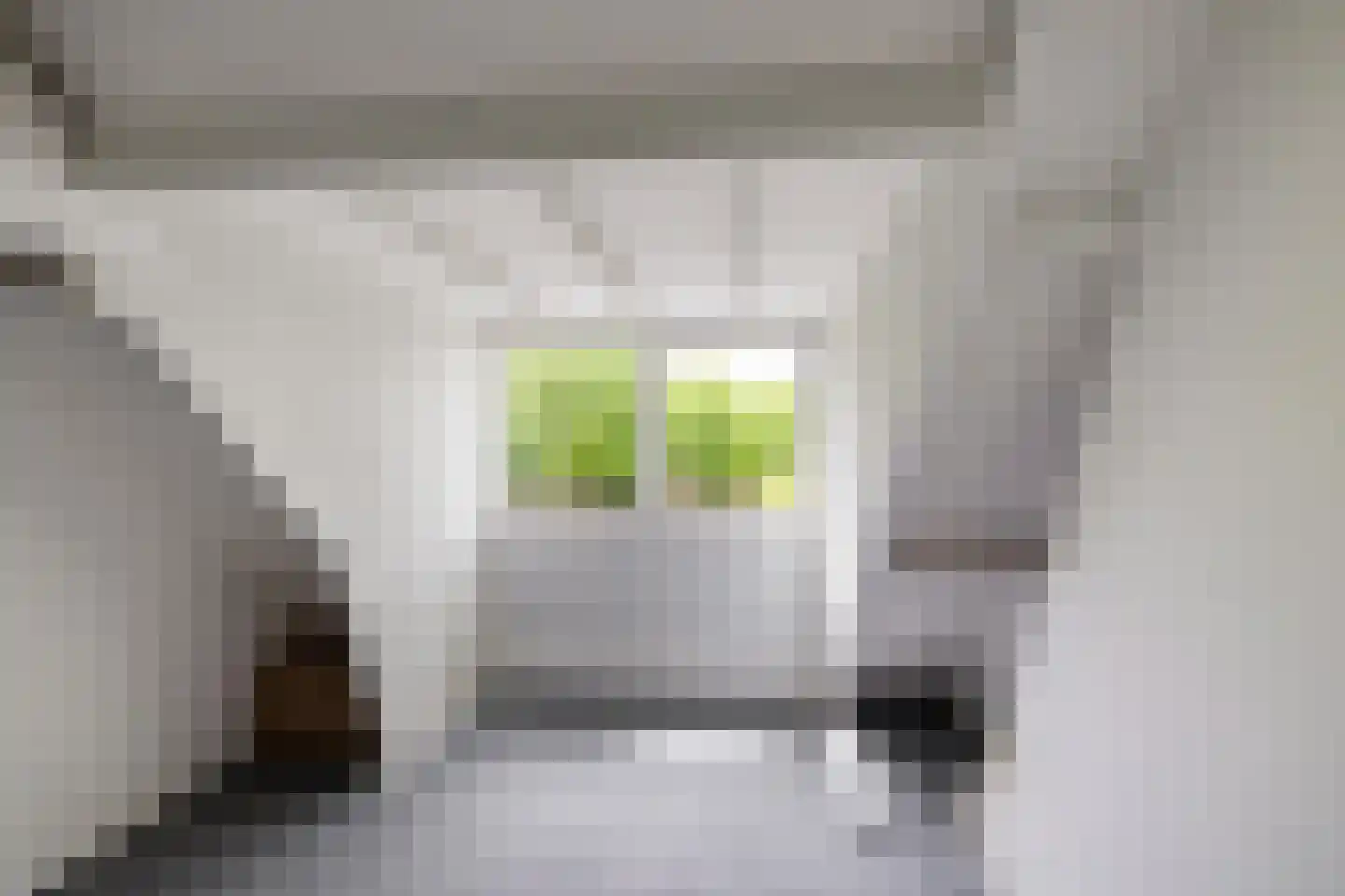 Verlengde J. A. Feithstraat 20 a Groningen thumbnail 34