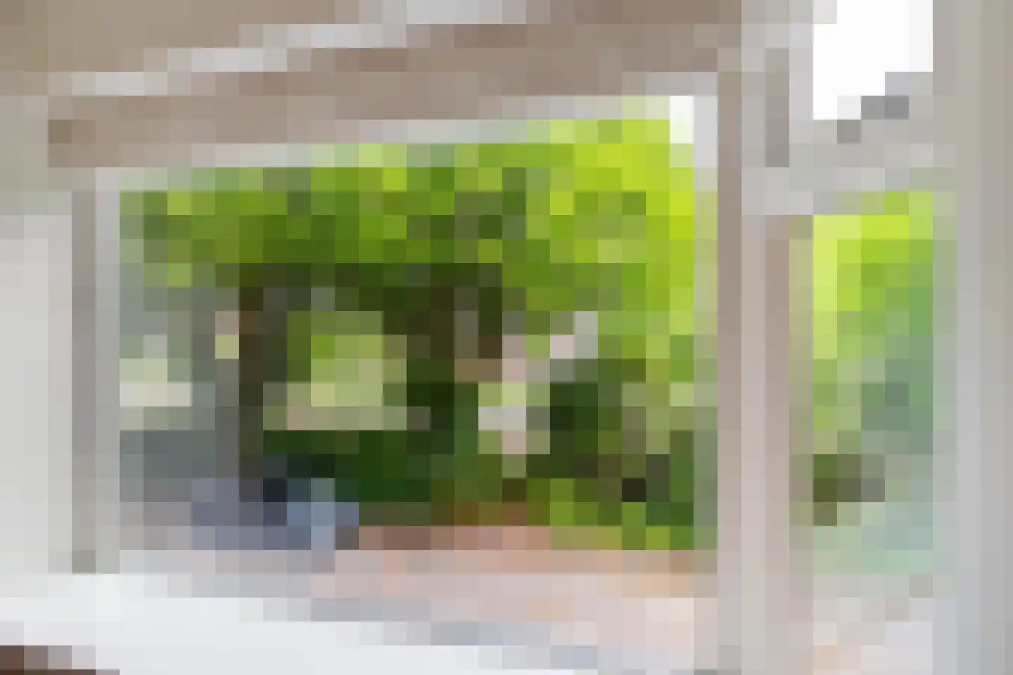 Verlengde J. A. Feithstraat 20 a Groningen thumbnail 7