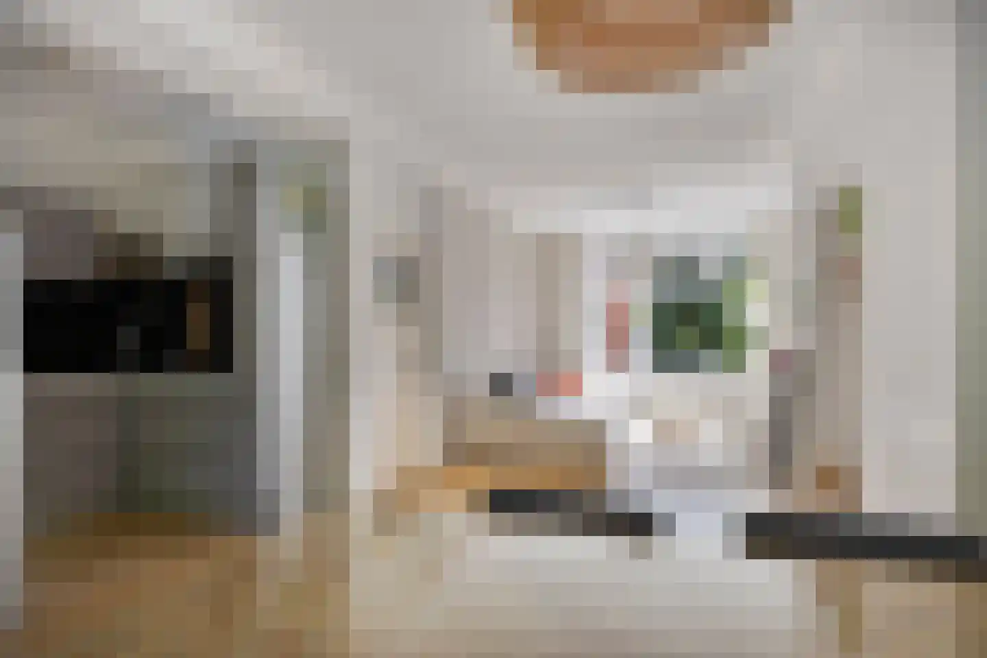 Verlengde J. A. Feithstraat 6 a Groningen thumbnail 15