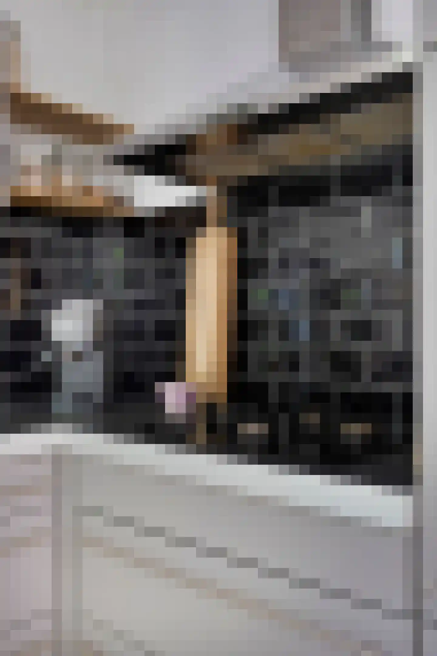 Verlengde J. A. Feithstraat 6 a Groningen thumbnail 20