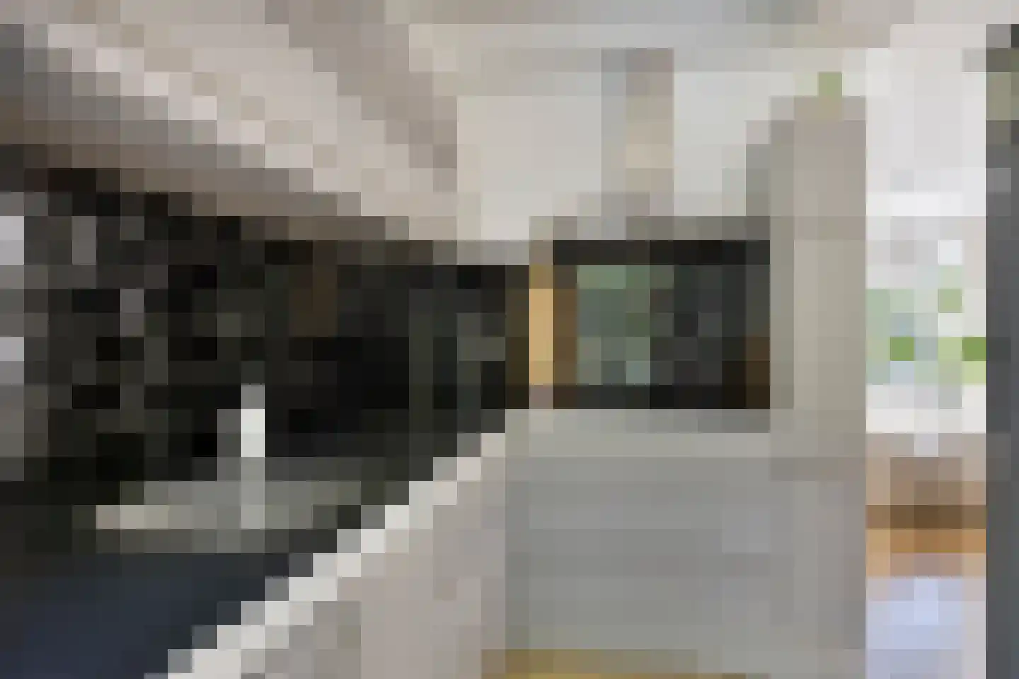 Verlengde J. A. Feithstraat 6 a Groningen thumbnail 21