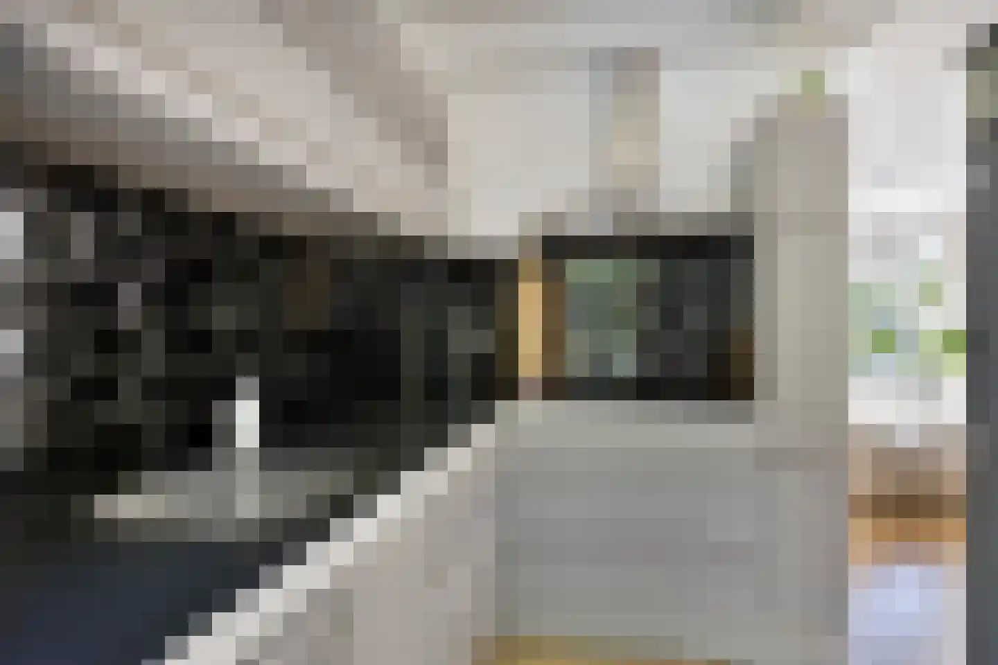 Verlengde J. A. Feithstraat 6 a Groningen thumbnail 23