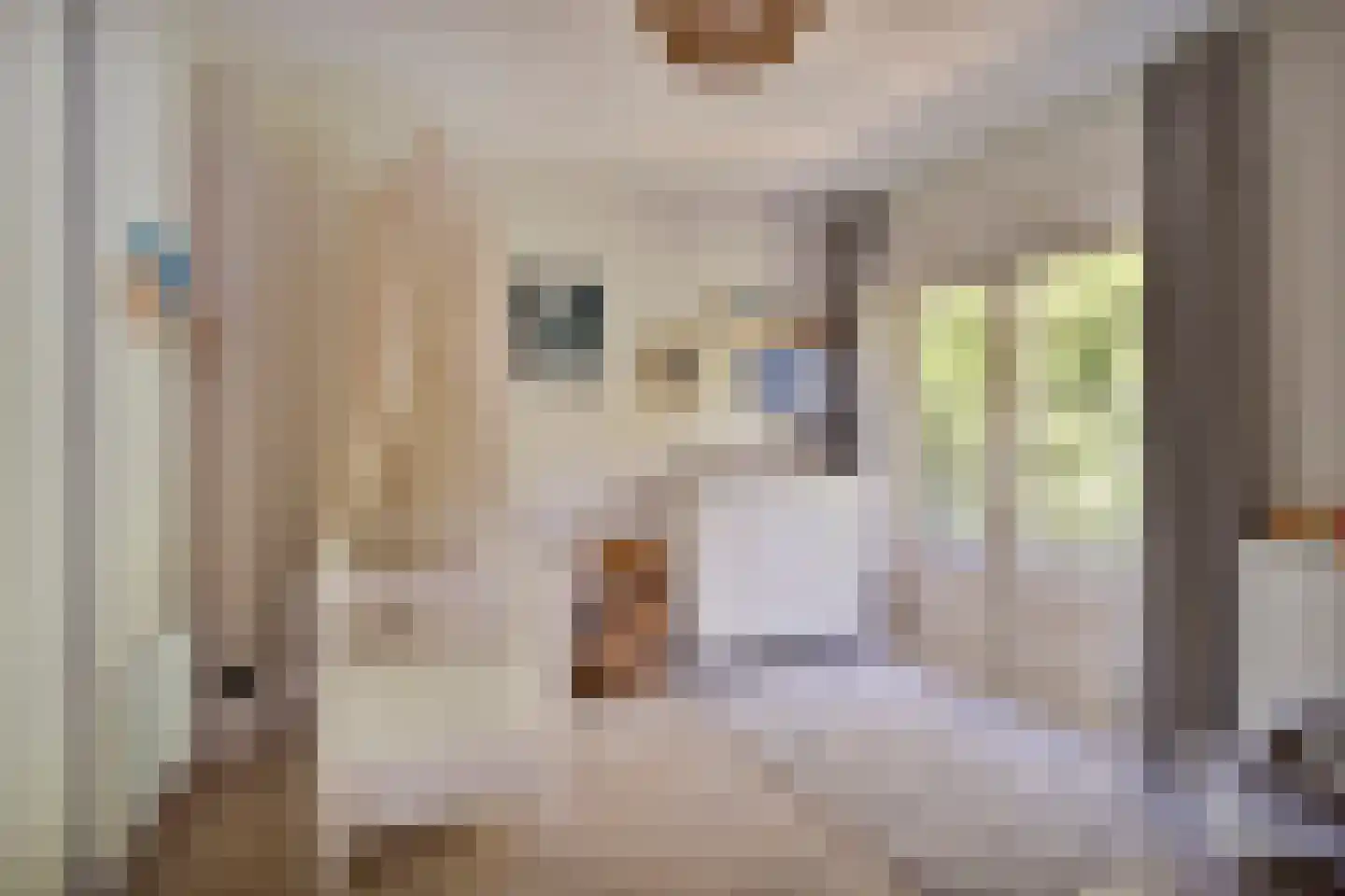 Verlengde J. A. Feithstraat 6 a Groningen thumbnail 40