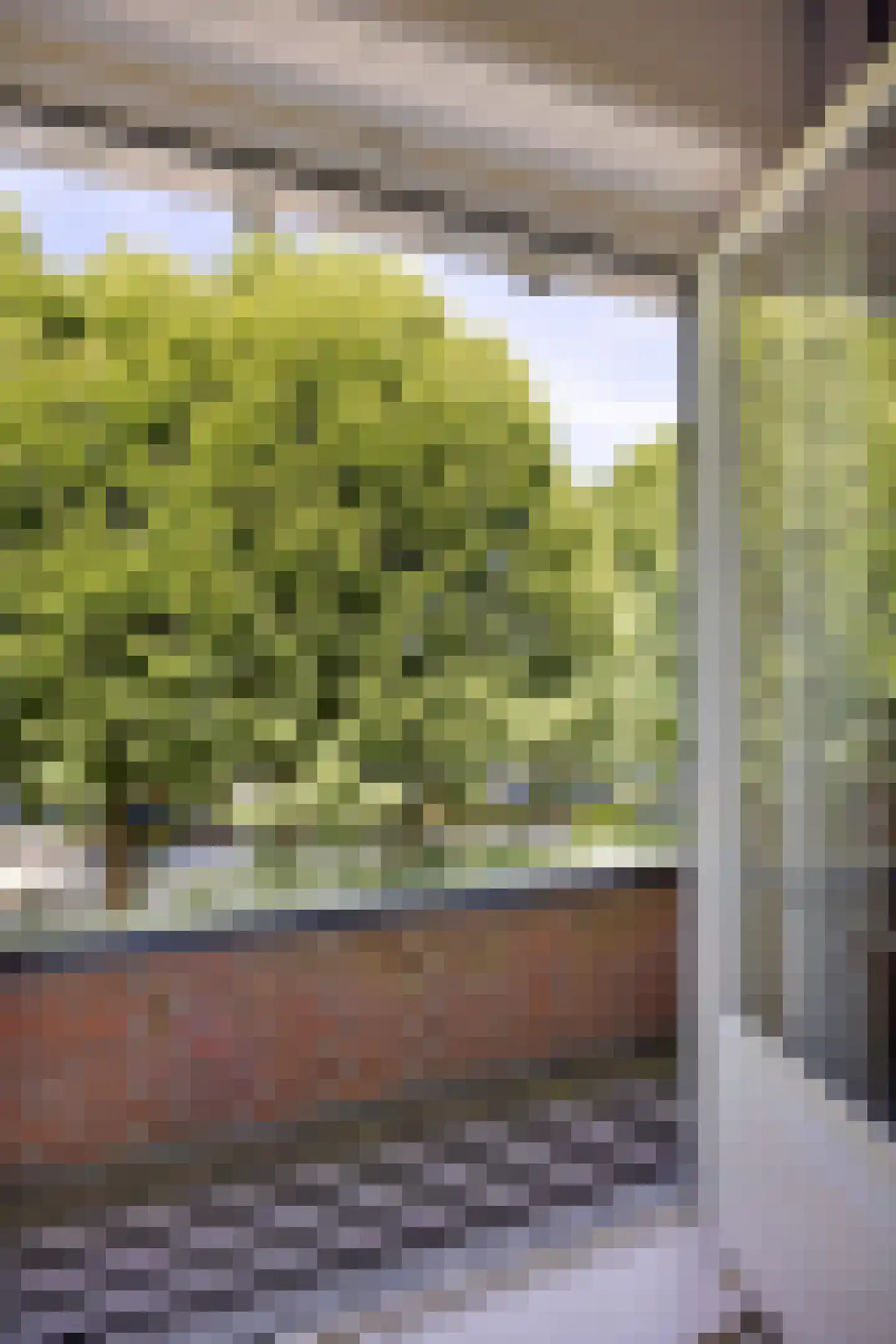 Verlengde J. A. Feithstraat 6 a Groningen thumbnail 42