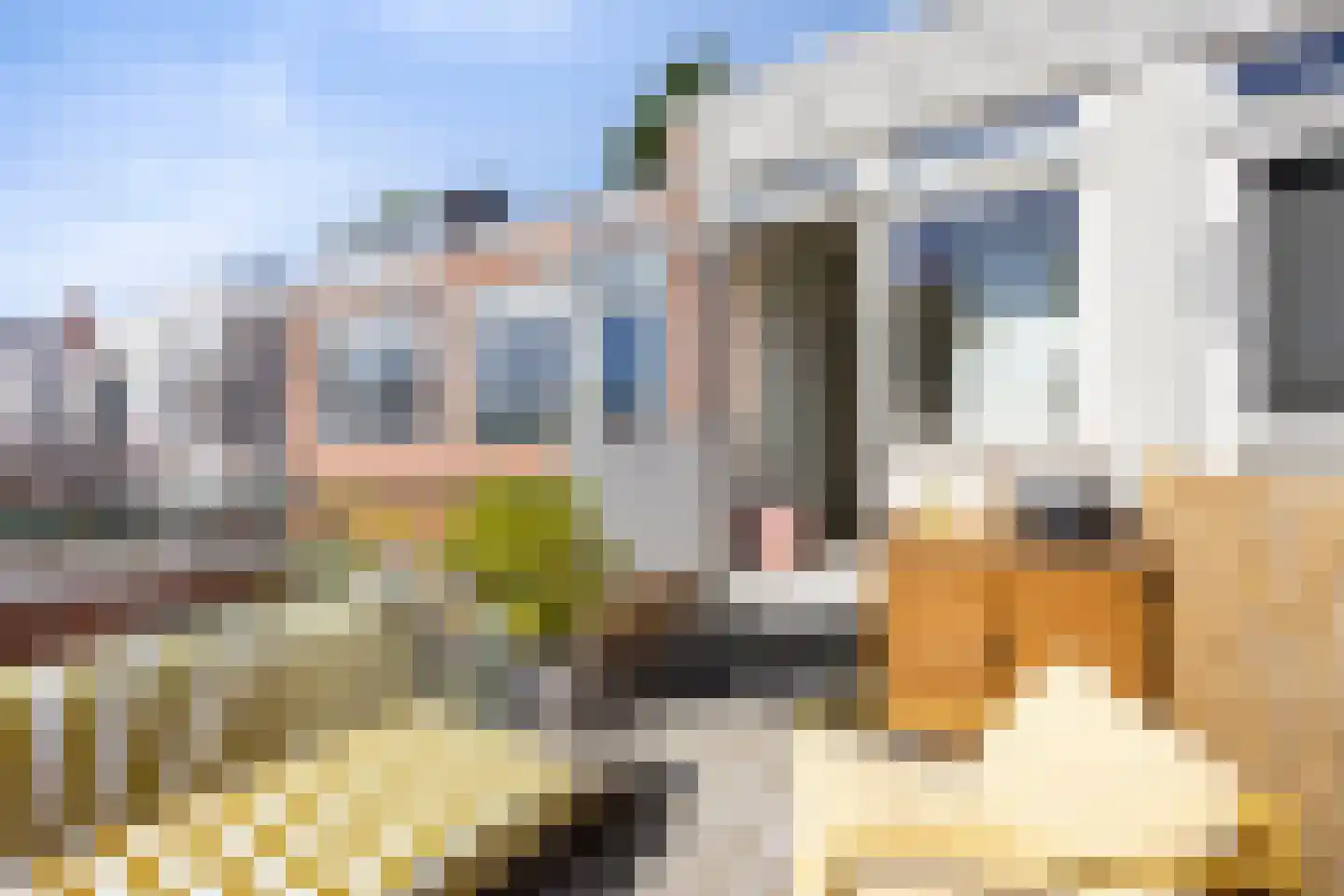 Verlengde J. A. Feithstraat 6 a Groningen thumbnail 49