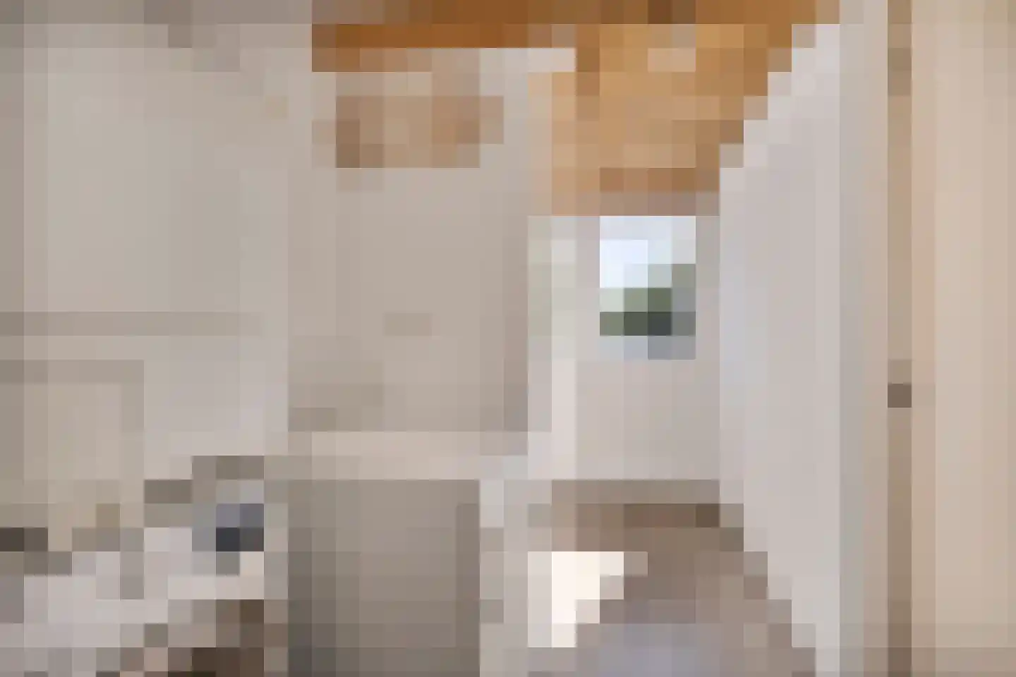 Verlengde J. A. Feithstraat 6 a Groningen thumbnail 53