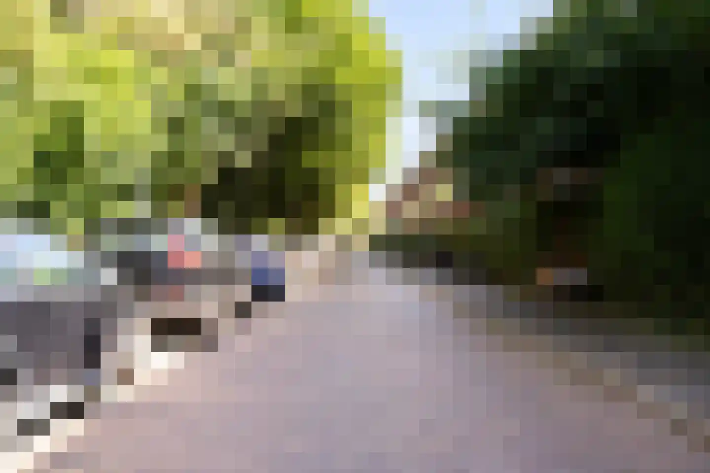 Verlengde J. A. Feithstraat 6 a Groningen thumbnail 62