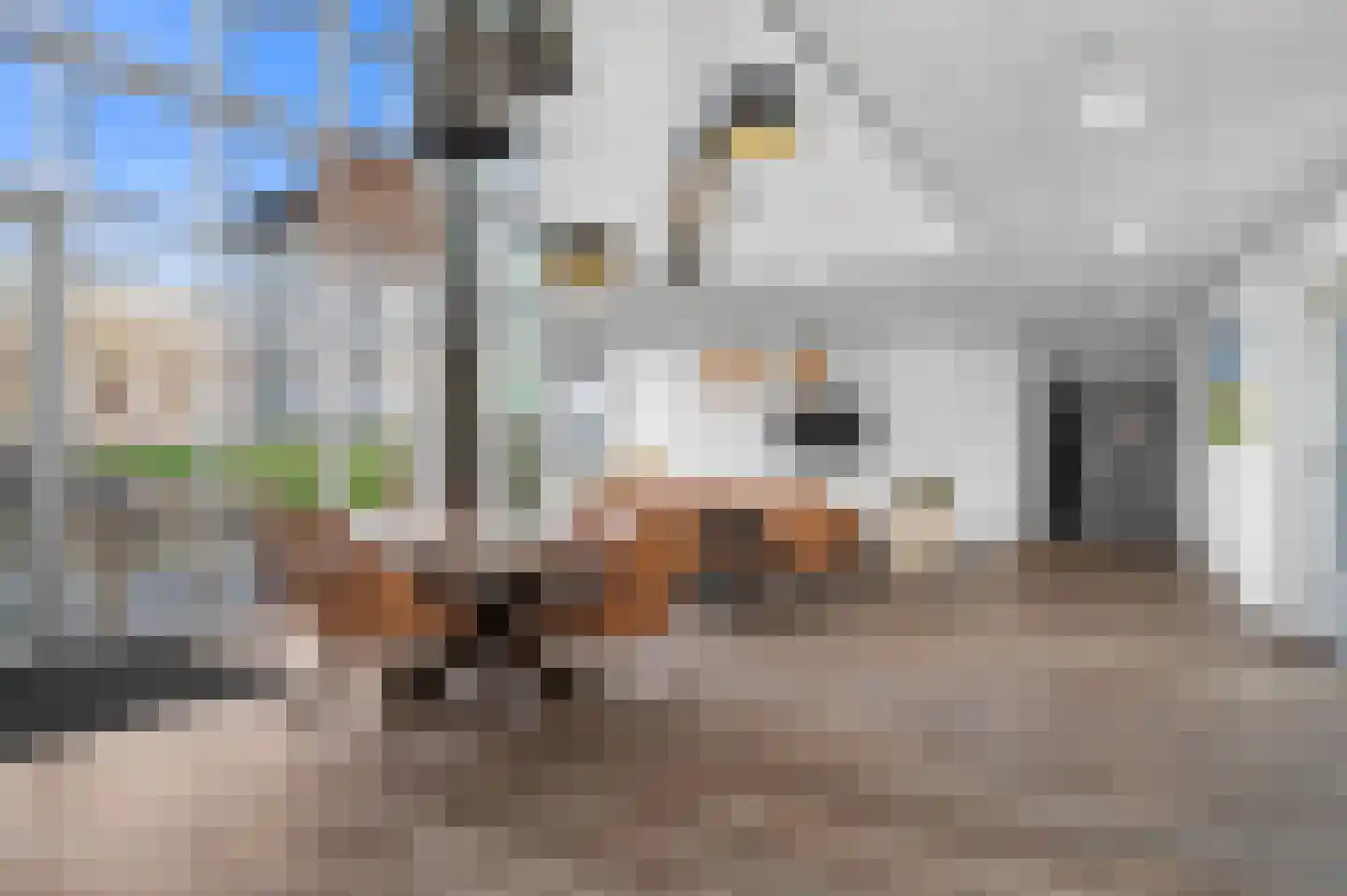 Verlengde Kazernestraat 129 Deventer thumbnail 18