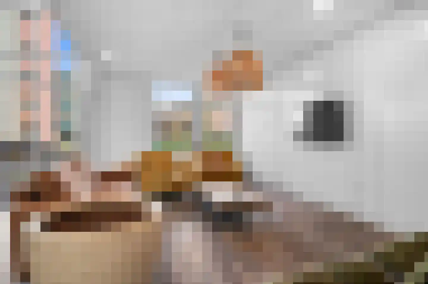 Verlengde Kazernestraat 3 Deventer thumbnail 10