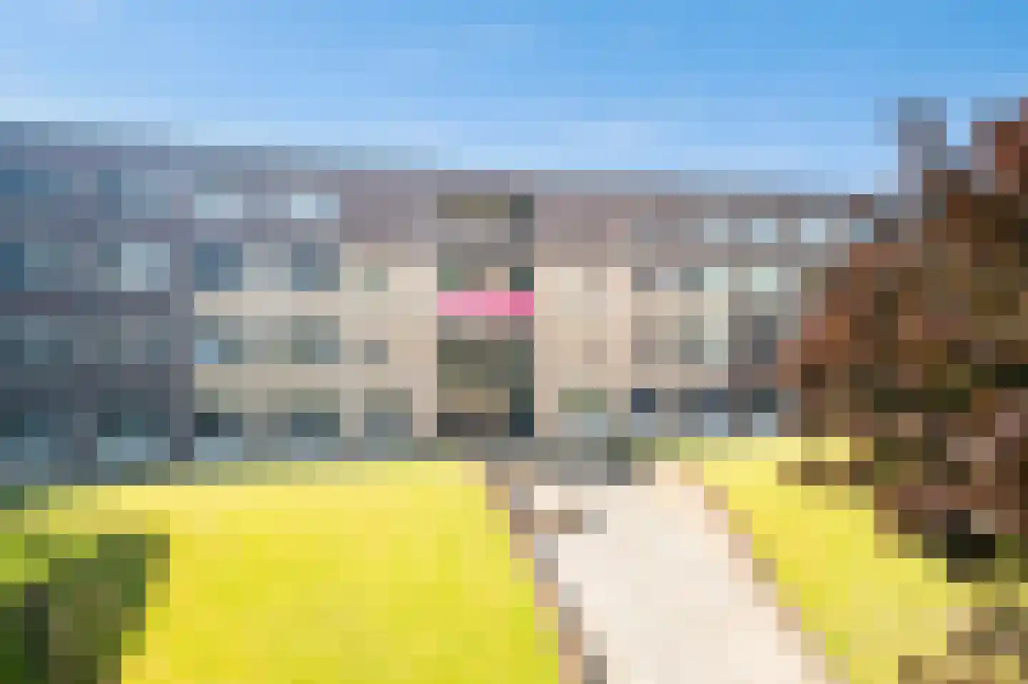 Verlengde Kazernestraat 3 Deventer thumbnail 12