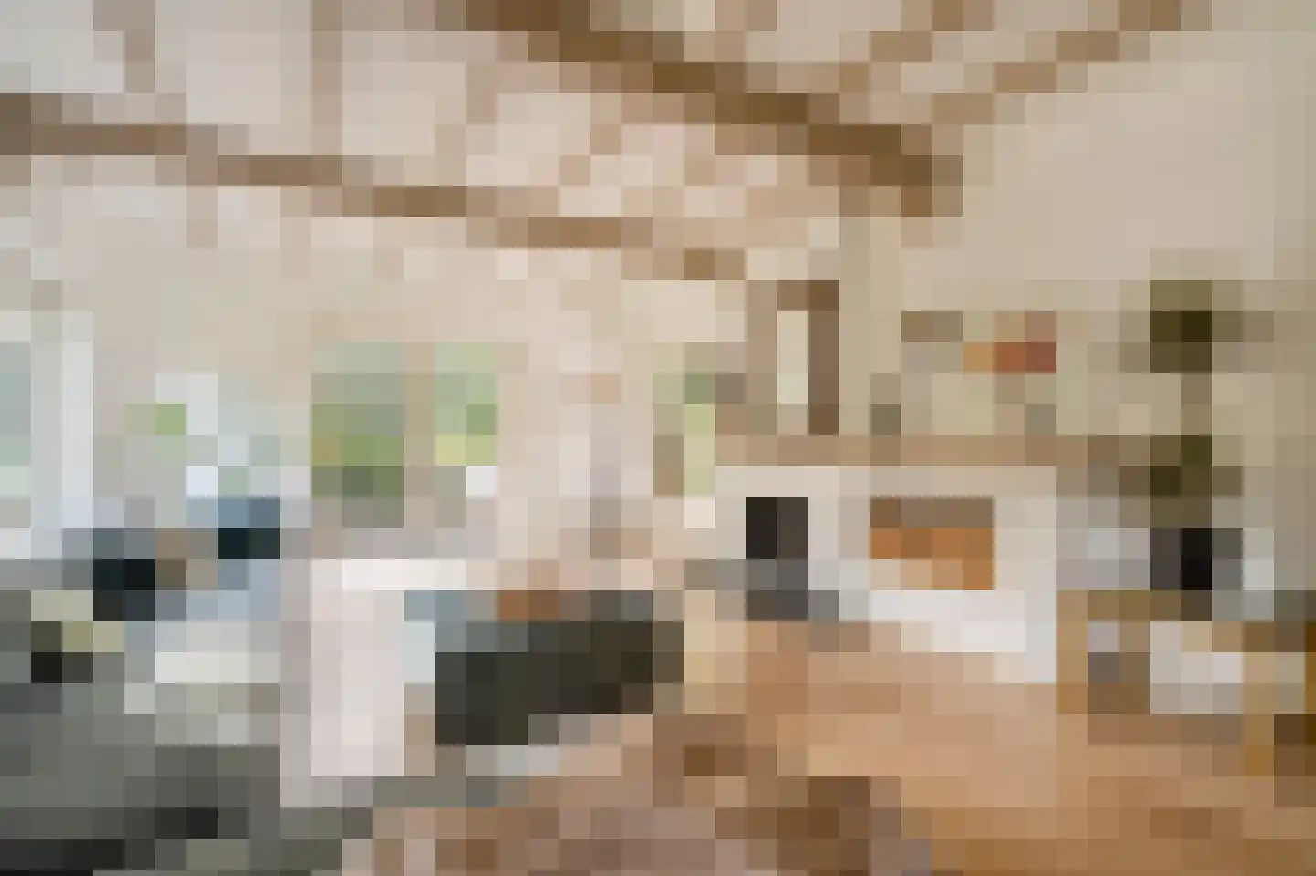 Verlengde Kerkeboslaan 4 Wassenaar thumbnail 17