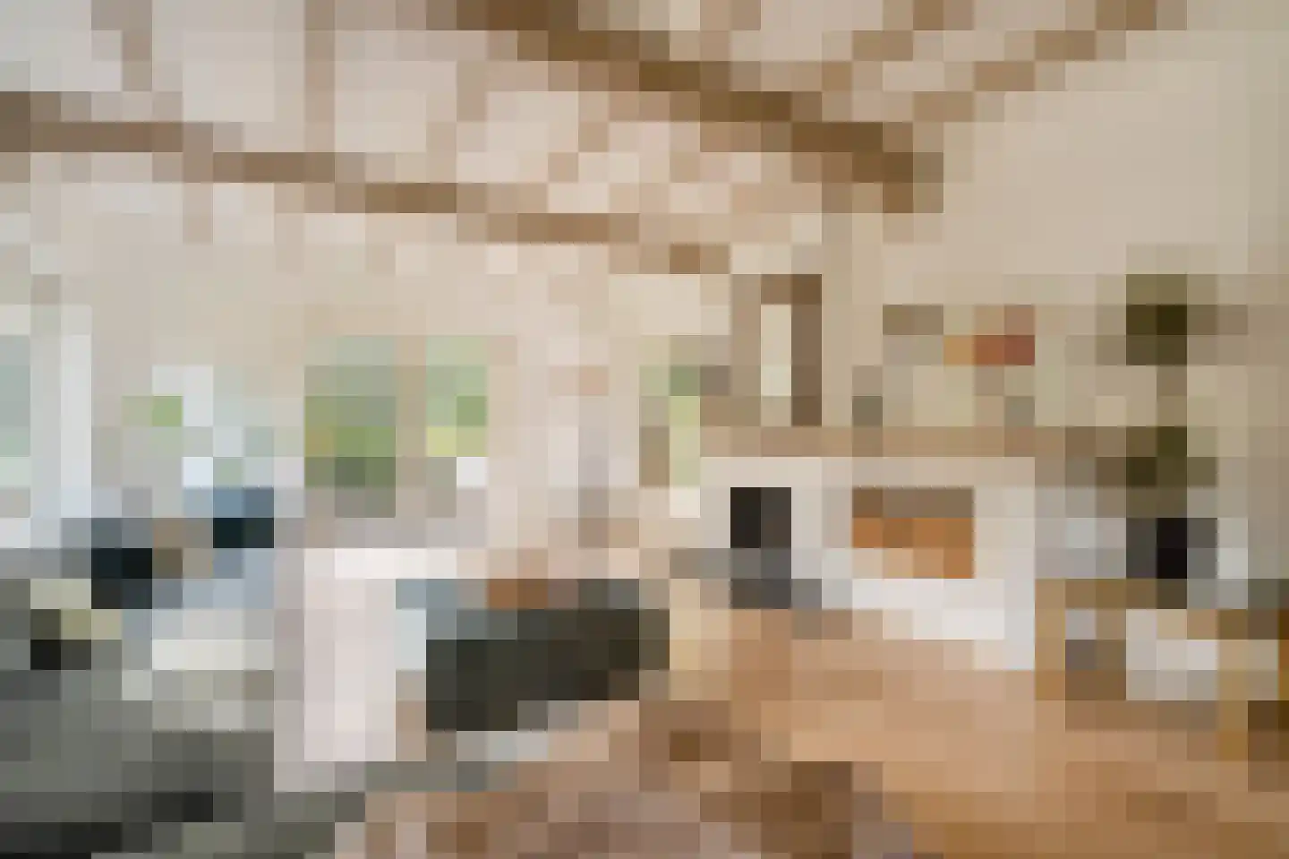 Verlengde Kerkeboslaan 4 Wassenaar thumbnail 18
